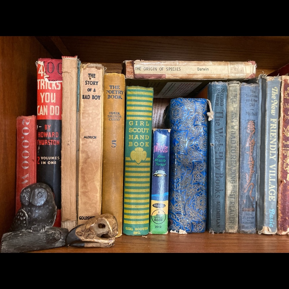 ♲︎꧁𝑺𝒉𝒂𝒓𝒊𝒏𝒈 𝒊𝒔 𝑪𝒂𝒓𝒊𝒏𝒈꧂♲︎ - Picture 4 of 16